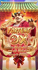 rp6 · Fortune Ox